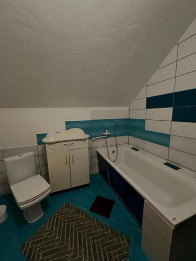Bathroom 3, Guest house Alyaska, Iaremchans'ka