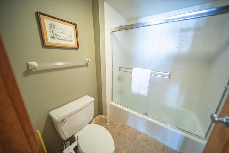 Bathroom 4, Lenawee 1738, Summit