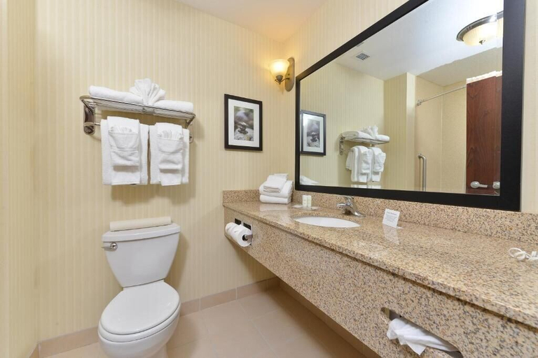 Bathroom 4, Comfort Suites Conference Center Rapid City, Pennington