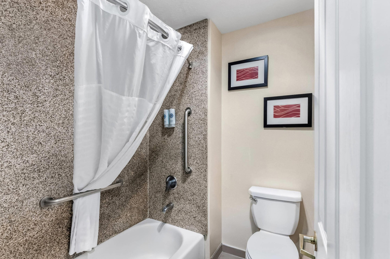 Bathroom 4, Comfort Inn Elko, Elko