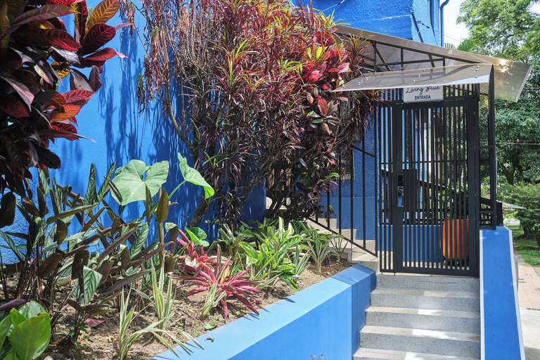 Property grounds 3, living blue, Medellín