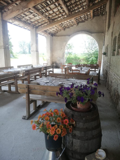 Others 4, Nuova Scardua Agr Cucina Tipica, Mantua