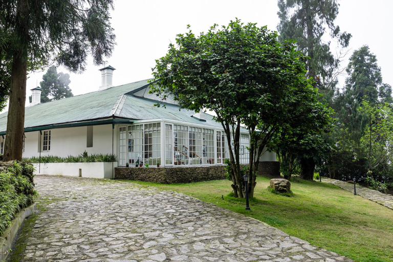 Primary image