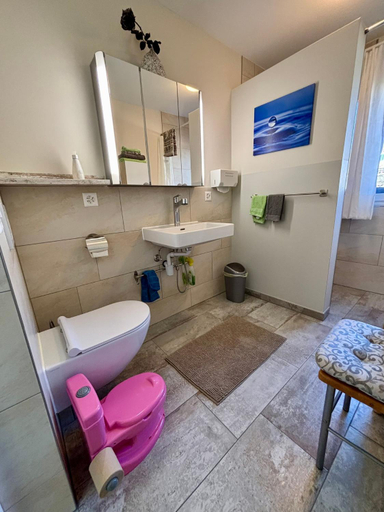 Bathroom 4, Chez Svanette B&B Villa Sonngluck, Thierstein