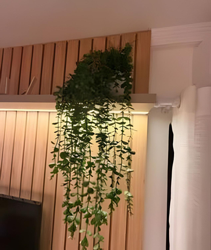 Others 4, Novissimo apartamento na regiao central de Foz - Crisalidas, Foz do Iguaçu