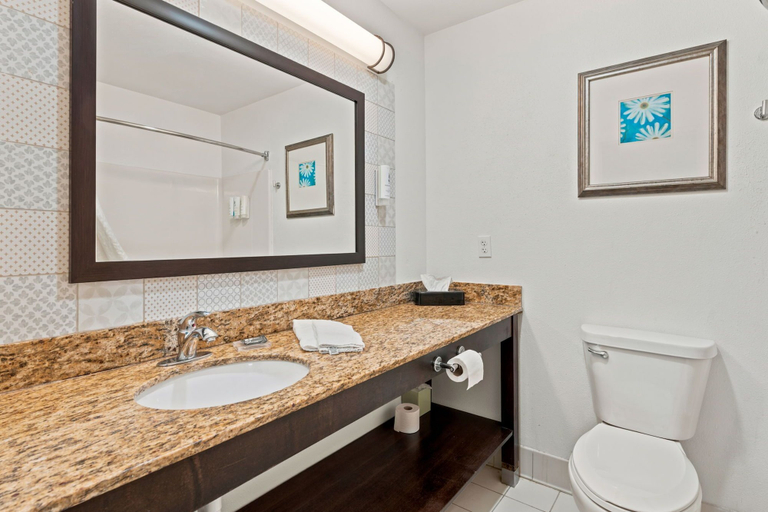 Bathroom 4, Willow Inn Suites Rochester, Olmsted