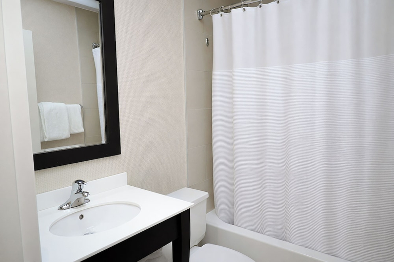 Bathroom 4, Skyline Hotel & Waterpark, Niagara