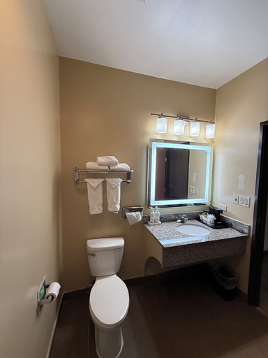 Bathroom 5, Ramada by Wyndham Glendale Heights/Lombard, Dupage