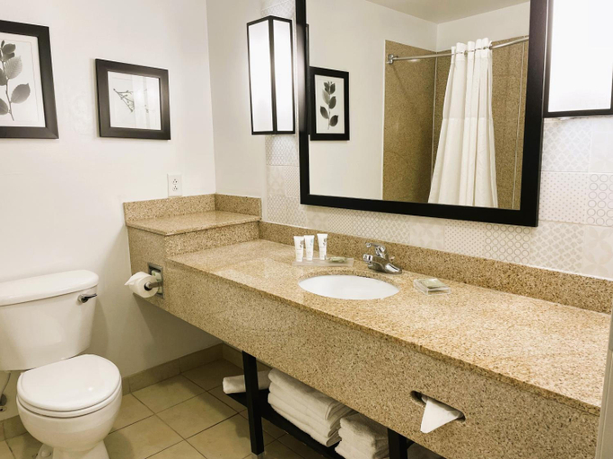 Bathroom, Country Inn & Suites Albany, Dougherty