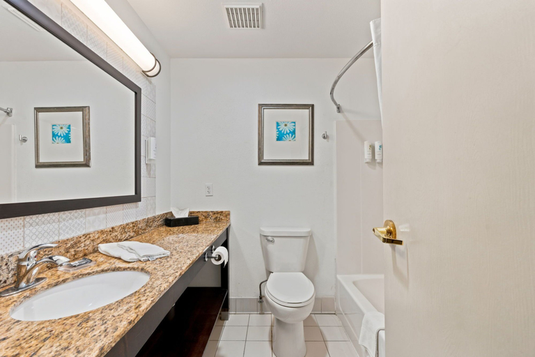 Bathroom 4, Willow Inn Suites Rochester, Olmsted