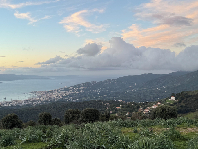 Miscellaneous 4, Petit coin de paradis, Corse-du-Sud