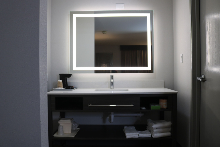 Bathroom 5, Econo Lodge Inn & Suites Southeast, Rutherford
