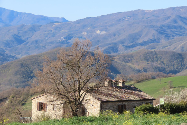 Others 5, La Busca, Pesaro E Urbino