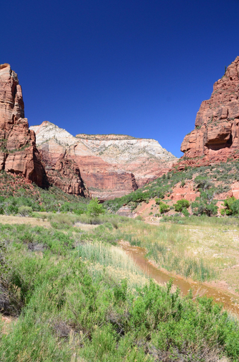 Miscellaneous 5, Purple Sage Place, Washington