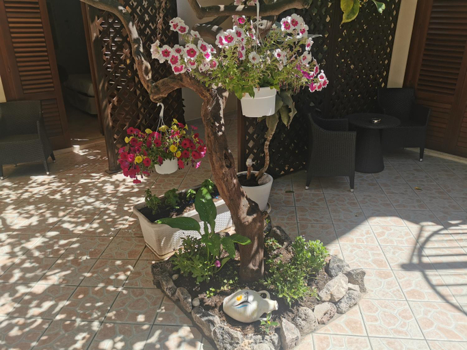 Others 5, Il Giardino del Sol, Trapani