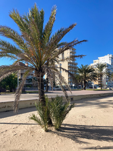 Exterior & Views, Apartamento Tres Soles Solo Familias, Valencia