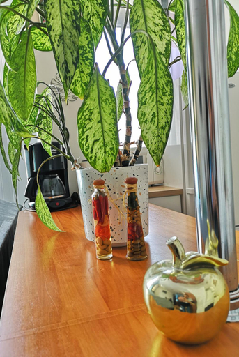 Food & Drinks 3, Apartamenty przy Starowce, Olsztyn