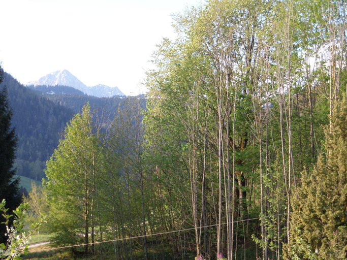 Others 3, Lehnhausl Aschauer, Berchtesgadener Land