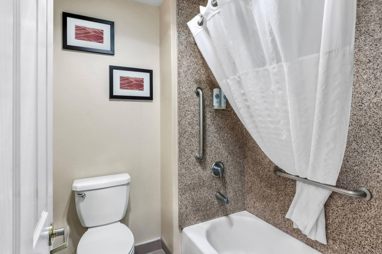 Bathroom 5, Comfort Inn Elko, Elko