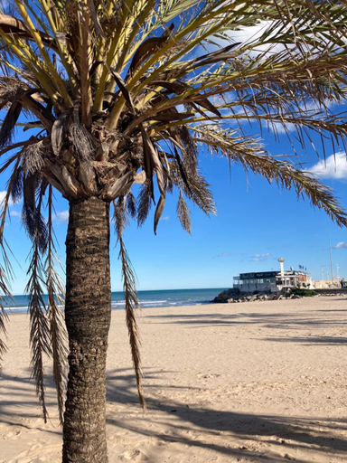 Others 4, Apartamento Tres Soles Solo Familias, Valencia