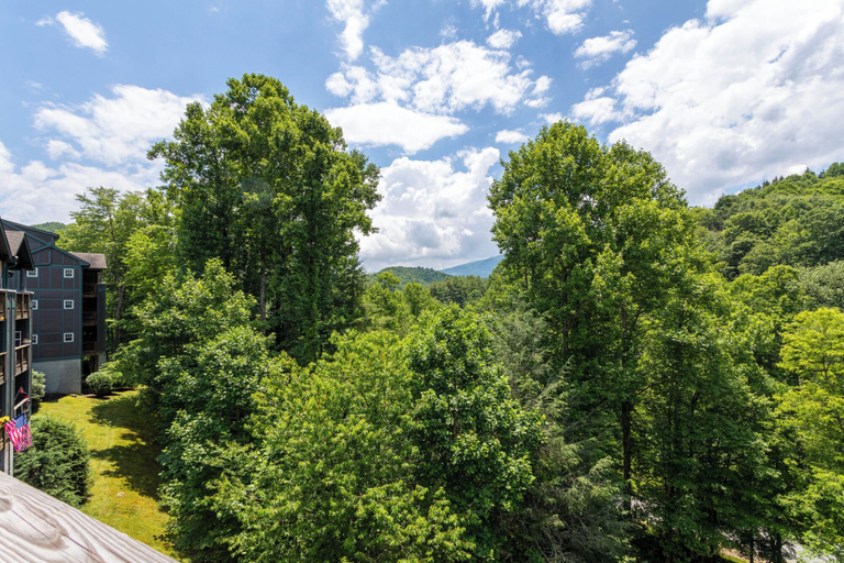 Interior 5, Still Lake Haven at Echota, Watauga