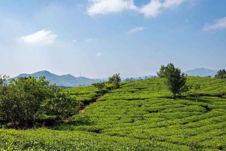 Miscellaneous 5, Nithara Hills Resort, Idukki