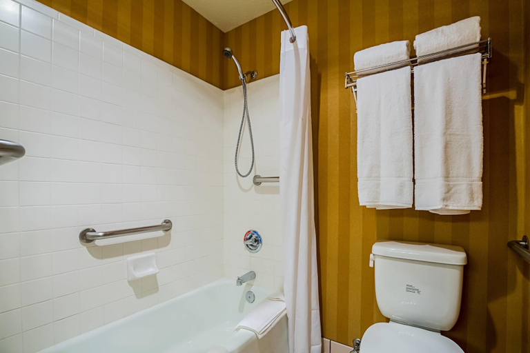 Bathroom 4, Clarion Suites St George - Convention Center Area, Washington
