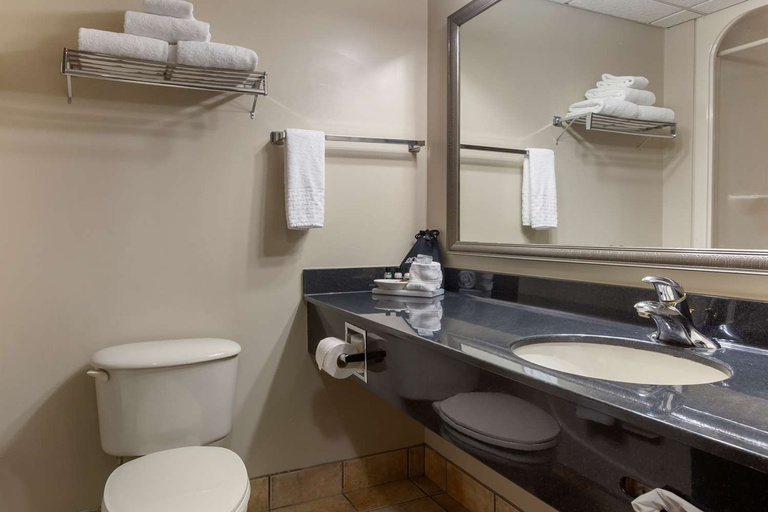 Bathroom 4, Best Western Plus Orillia Hotel, Simcoe