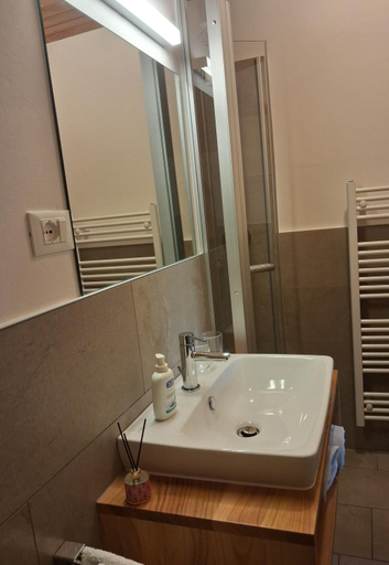 Bathroom 2, mosslerhof, Bolzano