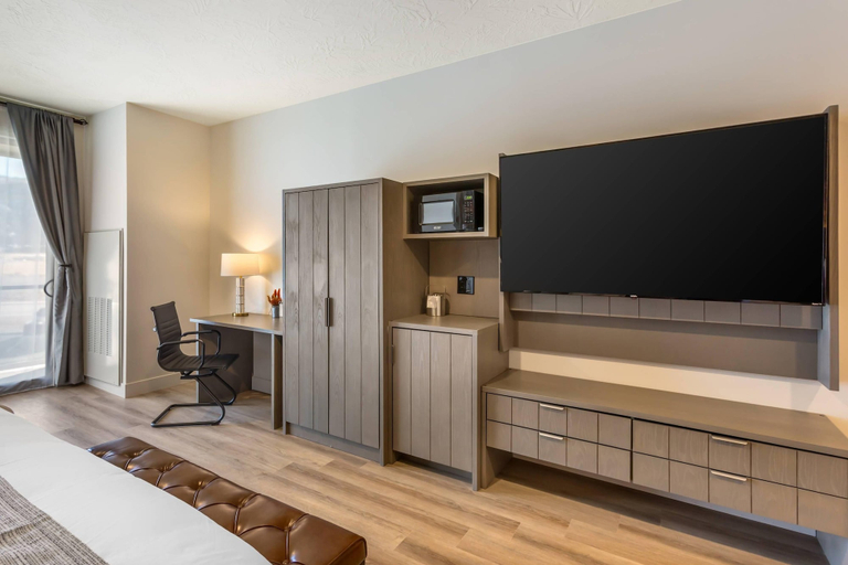 Others 5, The Valor, an Ascend Collection Hotel, Iron