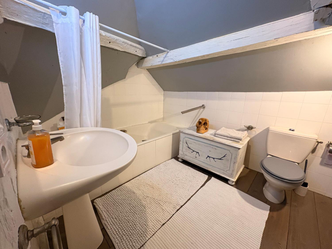 Bathroom 3, La taniere des ours, Loir-et-Cher