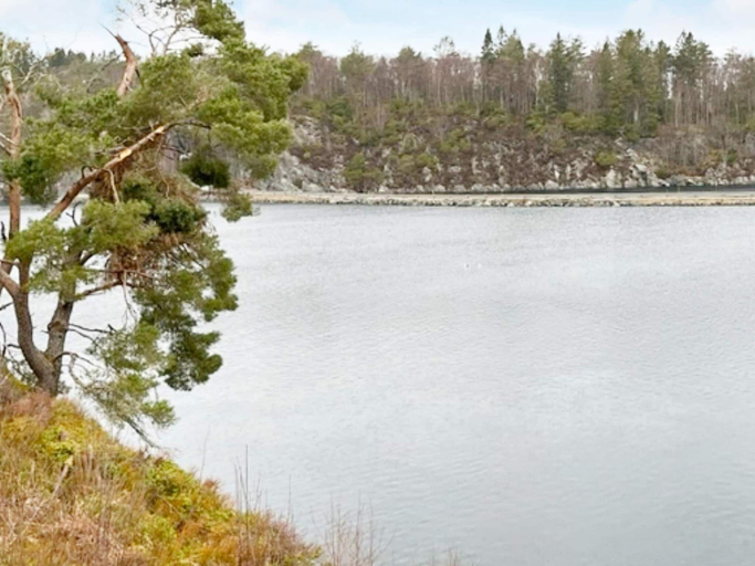 Primary image
