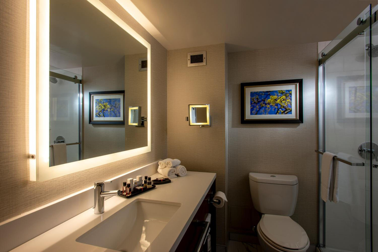 Bathroom 5, Atlantica Hotel Halifax, Halifax