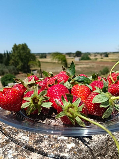 Food & Drinks 3, B&B Francesca Salento, Lecce