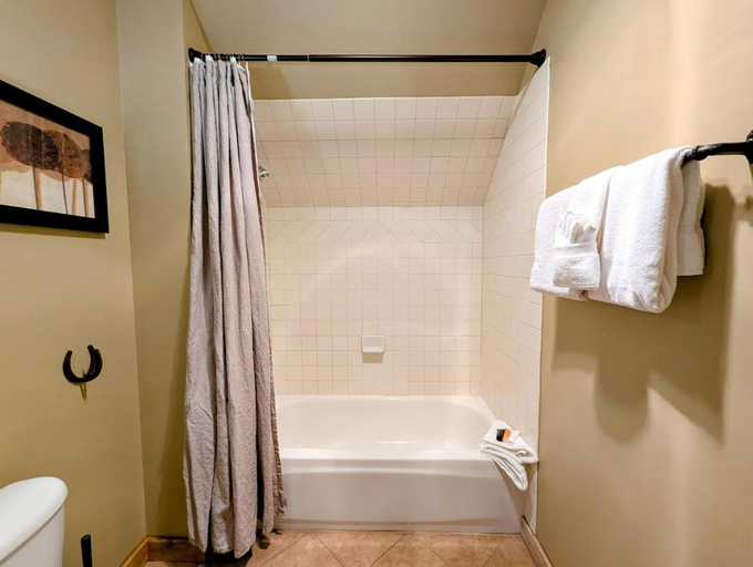 Bathroom 4, Buffalo Lodge 8412, Summit