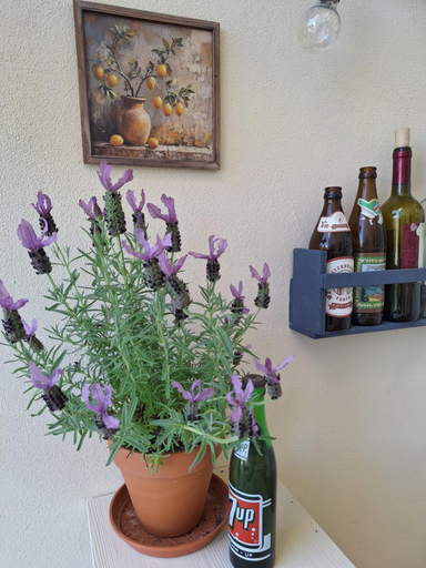 Food & Drinks 4, Villa Vista Monti, Pescara