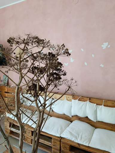 Bedroom 2, Ficodindia Rooms, Syracuse
