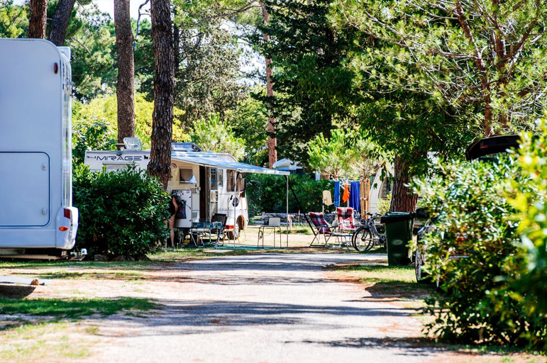 Others 5, Zaton Holiday Resort Camping Pitches, Nin