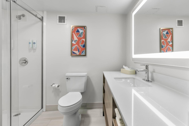 Bathroom 4, Comfort Inn & Suites, Hall
