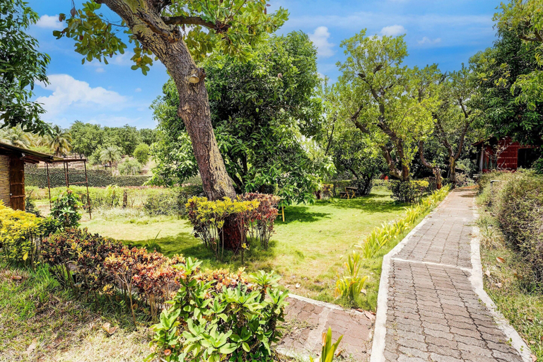 Garden 1, Deluxe Palette Irayos, Palghar