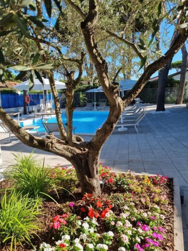 Pool 5, blueinnresidence, Ferrara