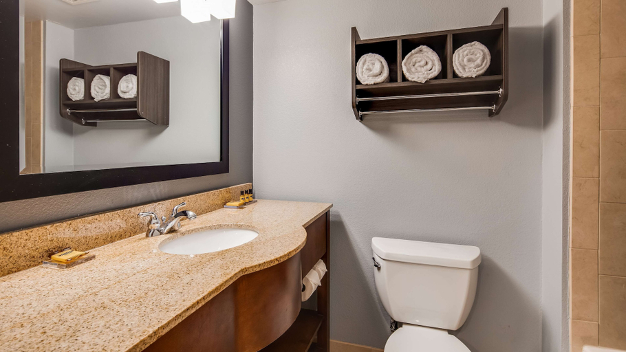 Bathroom 4, Best Western Plus Champaign/Urbana Inn, Champaign