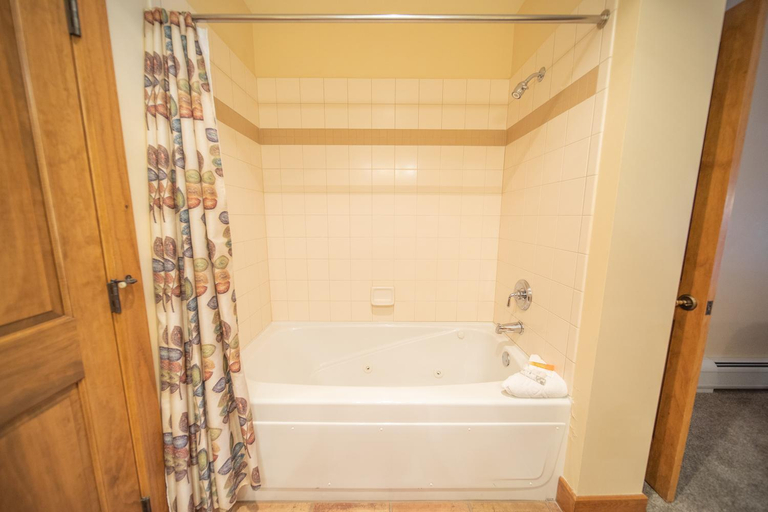 Bathroom 4, Springs 8819, Summit