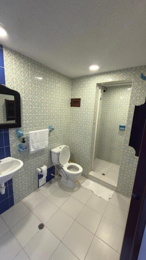 Bathroom 3, Hotel turistico de Tenza, Pachavita