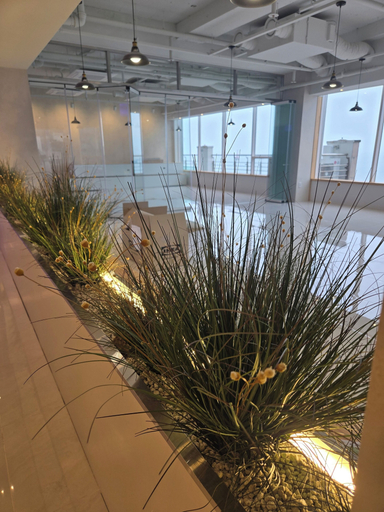 Interior entrance 2, Marysolstay, Haeundae