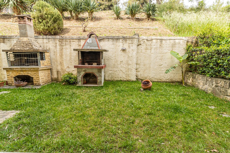 Garden 5, Sunday Mood, Central Macedonia