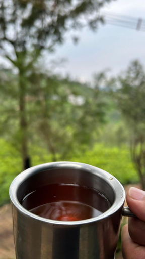 Others 3, The Den by Trees, The Nilgiris