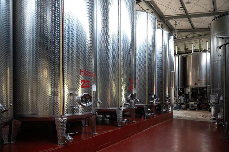 Food & Drinks 4, Montalbera Wine Suites - Adults Only, Asti