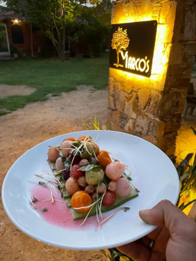 Food & Drinks 3, Shannu's Ranch Inn, Ajmer