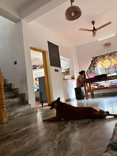 Others 2, Barefoot Hostels, Varkala, Thiruvananthapuram